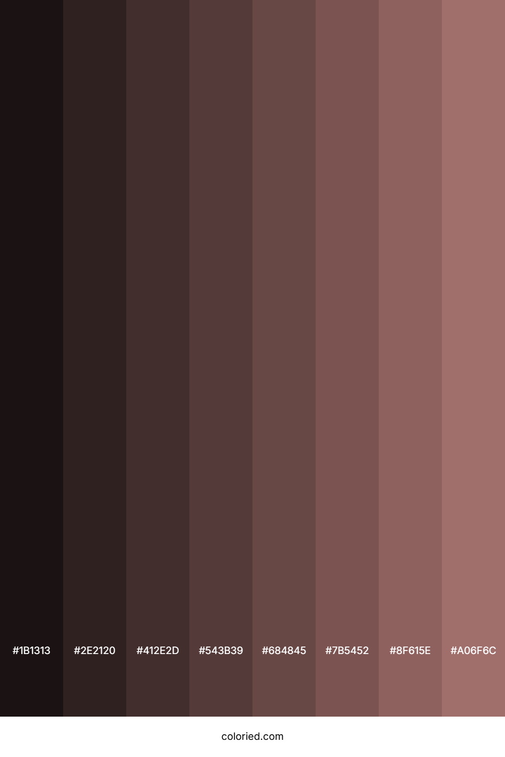 Cocoa Shades
