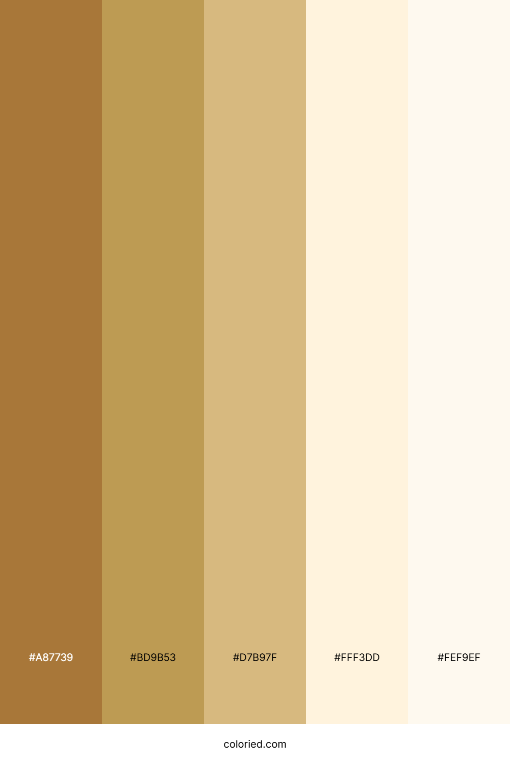 Coffee and Honey Color Palette