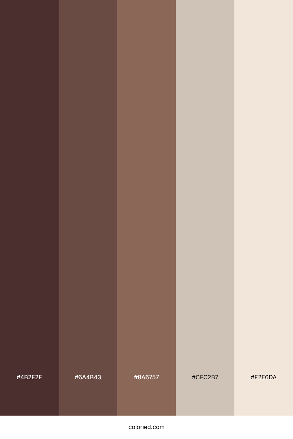 Coffee and Light Cream Color Palette