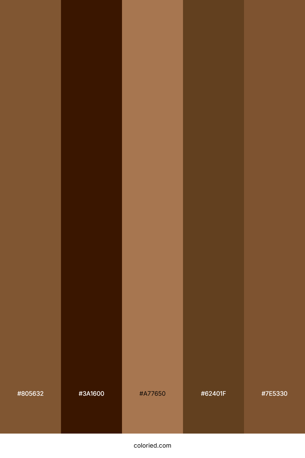Coffee Brown and Dark Brown Color Palette