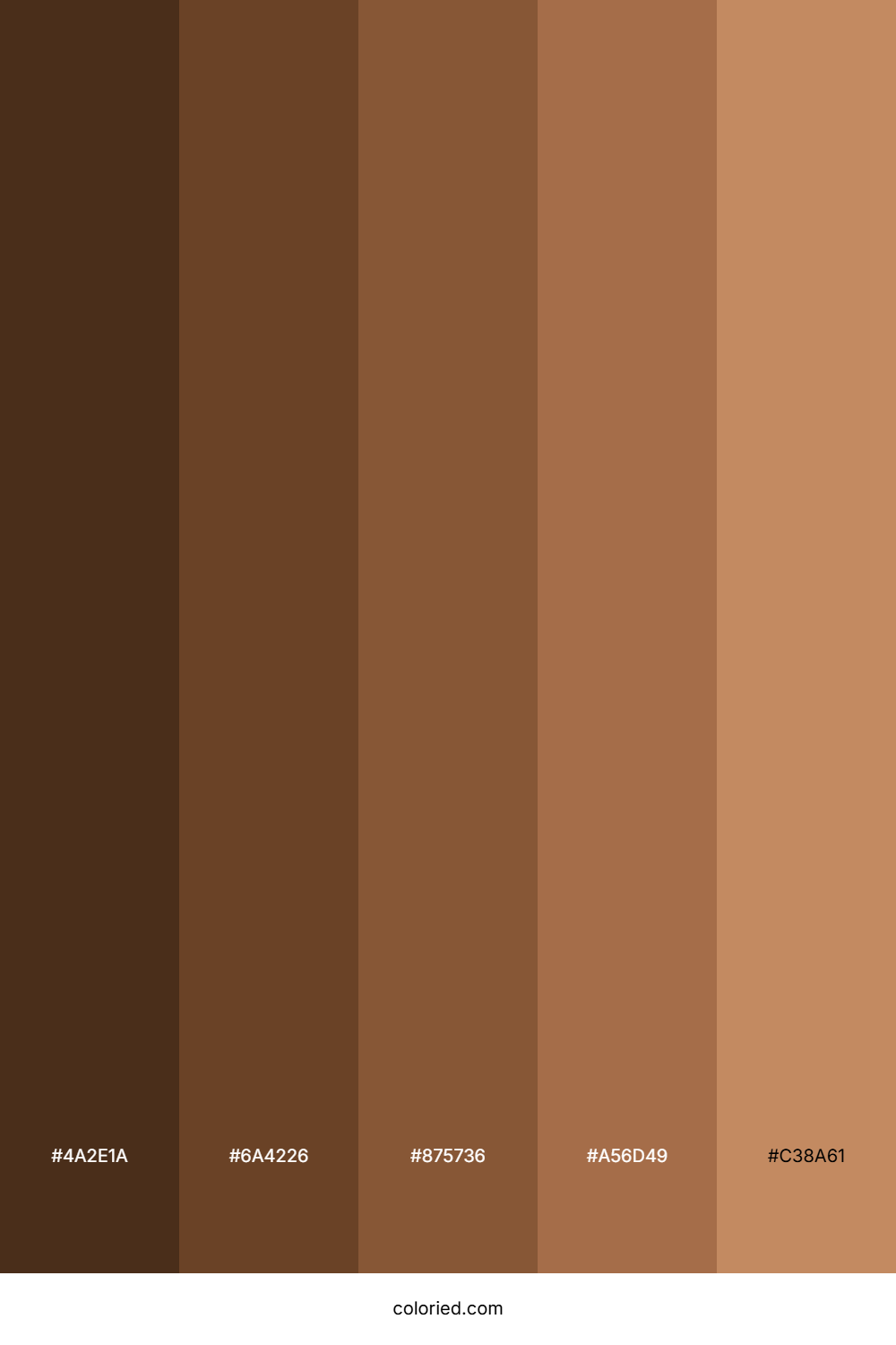 Coffee Brown Color Palette