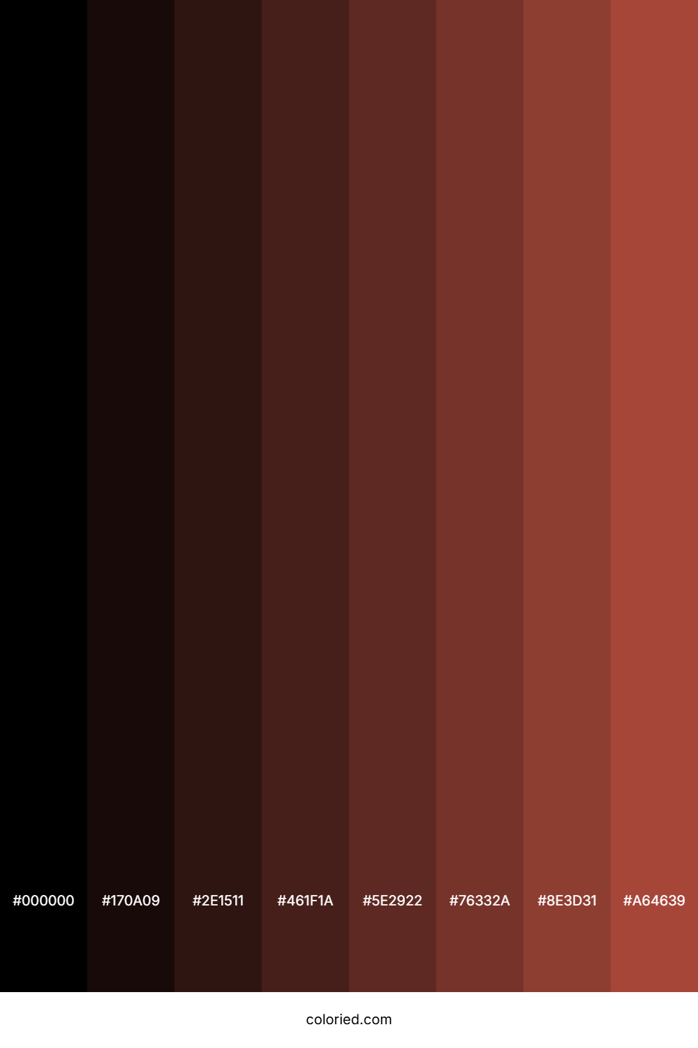 Coffee Brown Shades