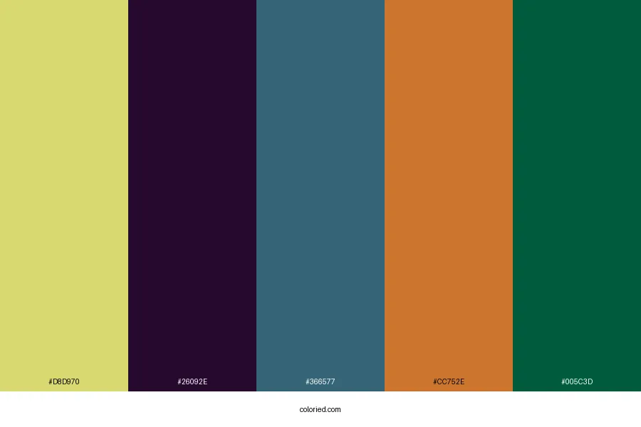 Color Assortment Color Palette