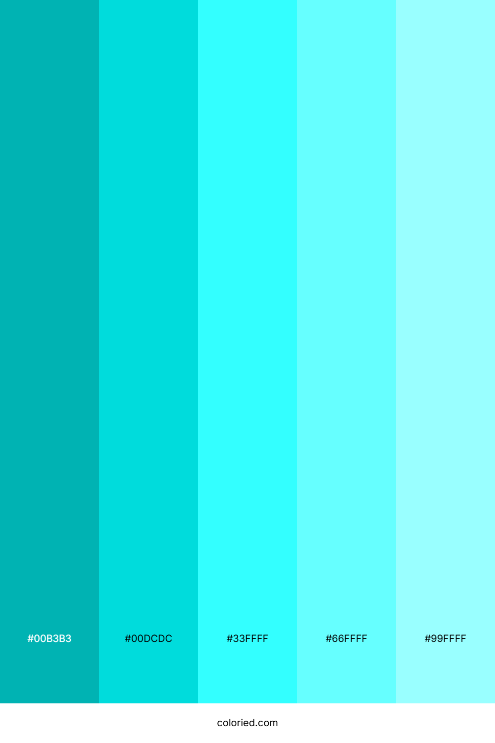 Color Turquesa Color Palette