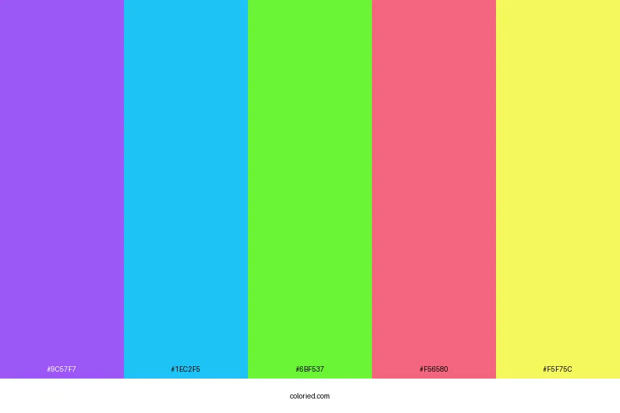 Confetti Color Palette