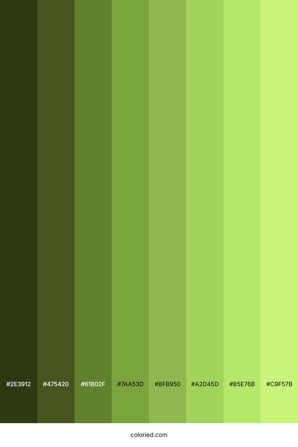 Conifer Color Shades