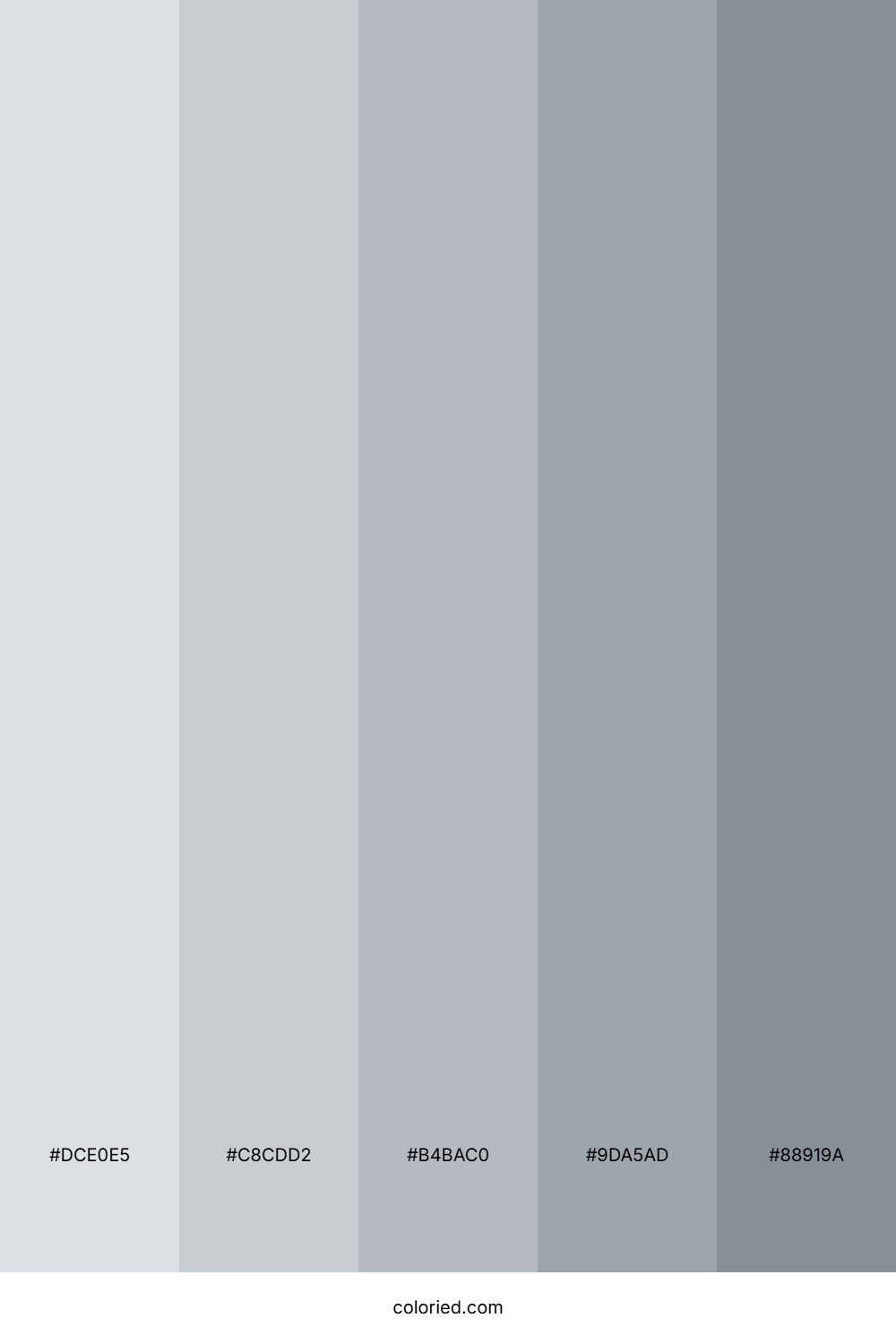 Cool Grey Lite Color Palette