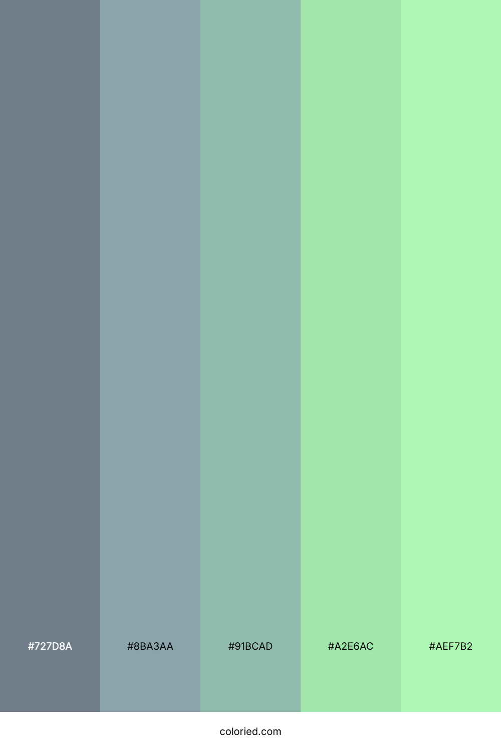 Cool Mint Horizon Color Palette