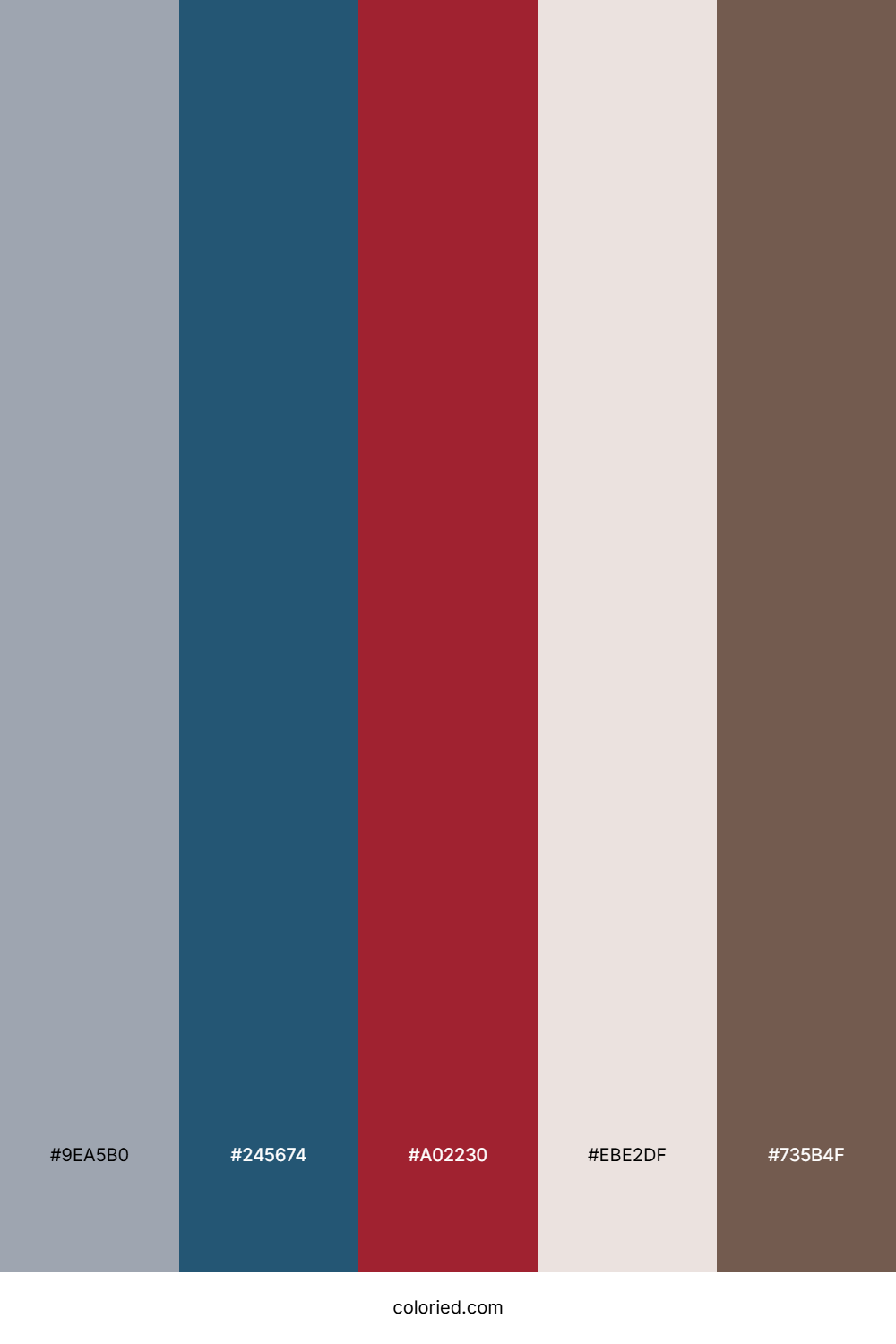 Cool Slate Berry Color Palette