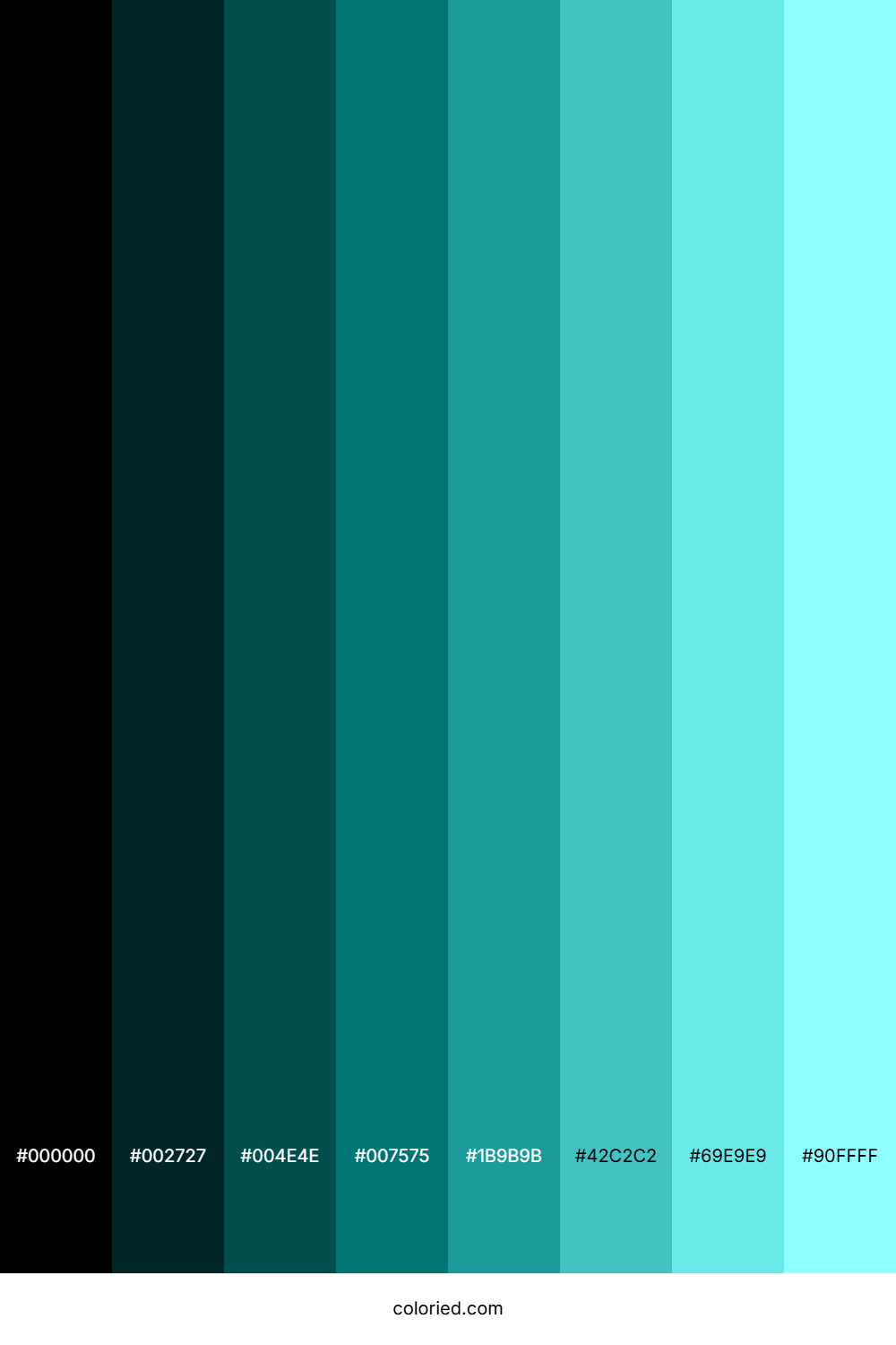 Cool Teal Shades
