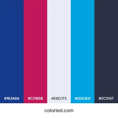 Cool Winter Color Palette