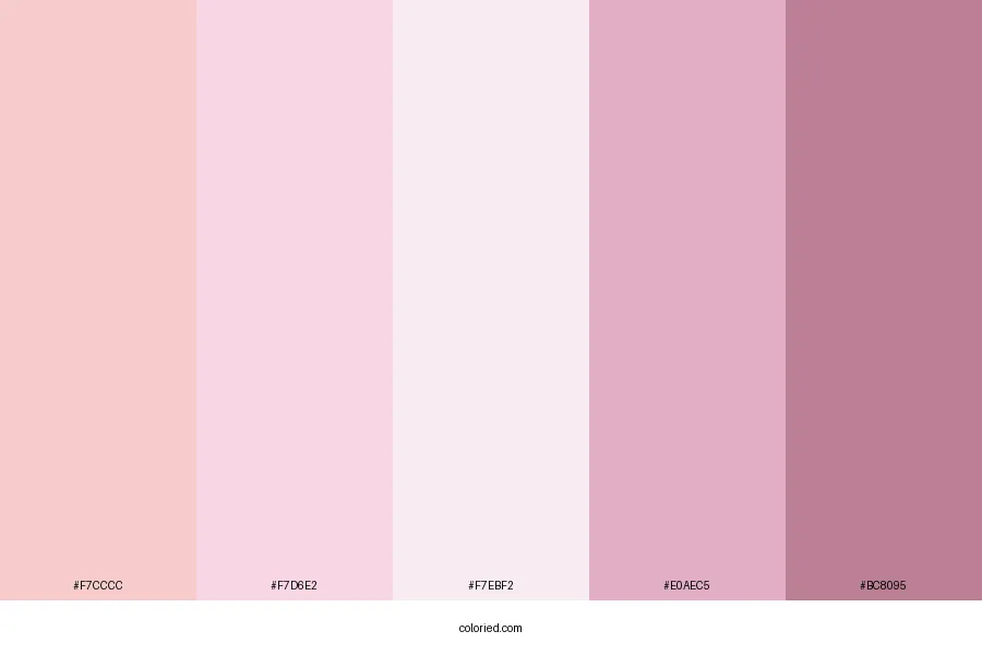 Coquette Pink Color Palette