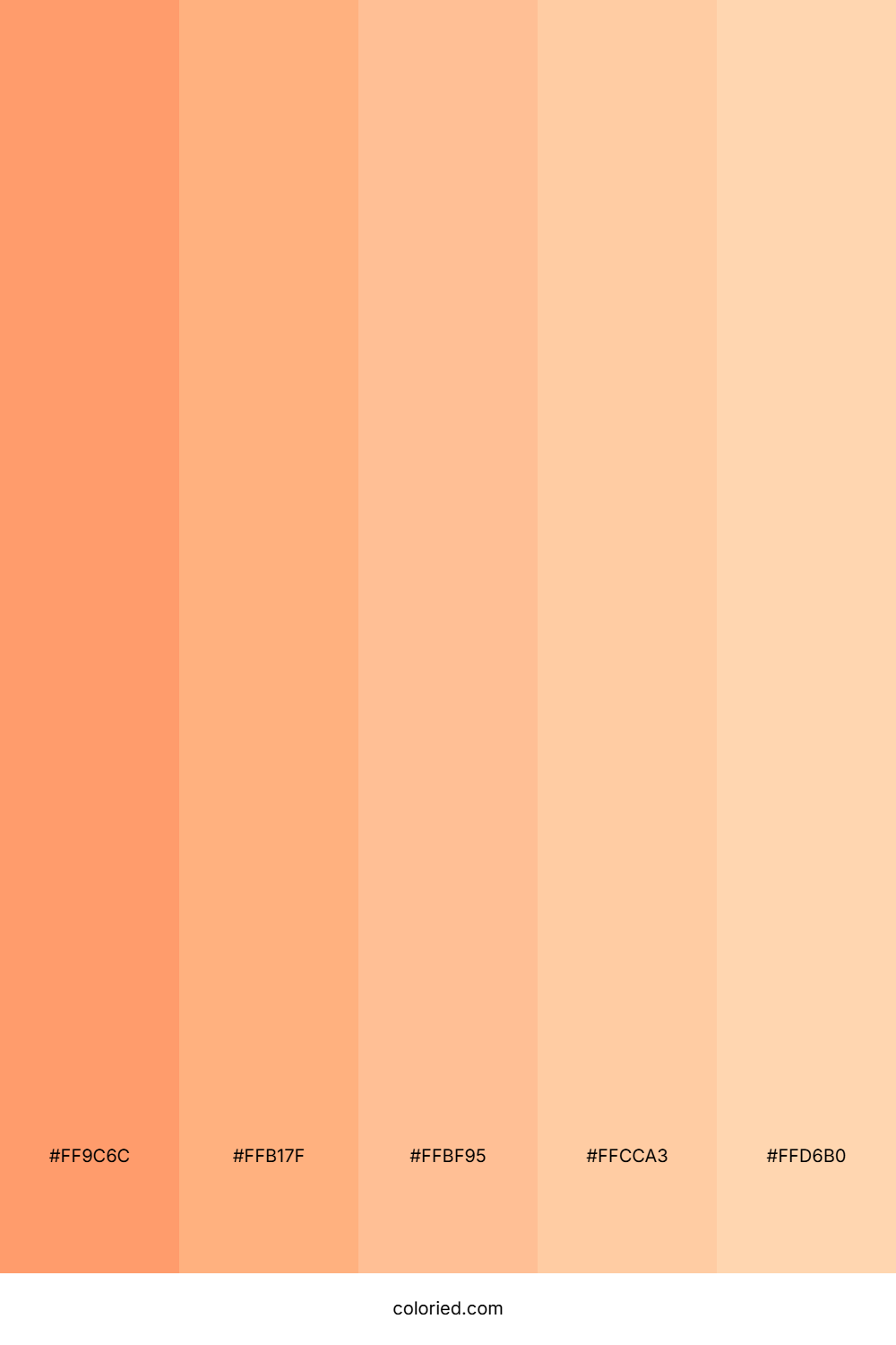Coral And Apricot Color Palette