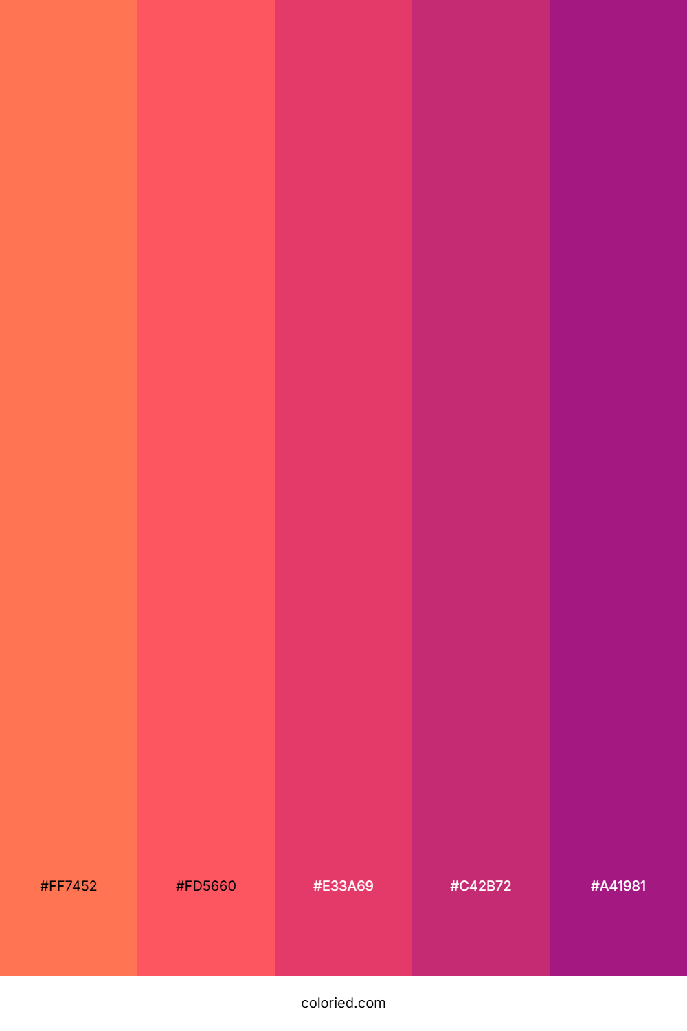 Coral and Orchid Color Palette