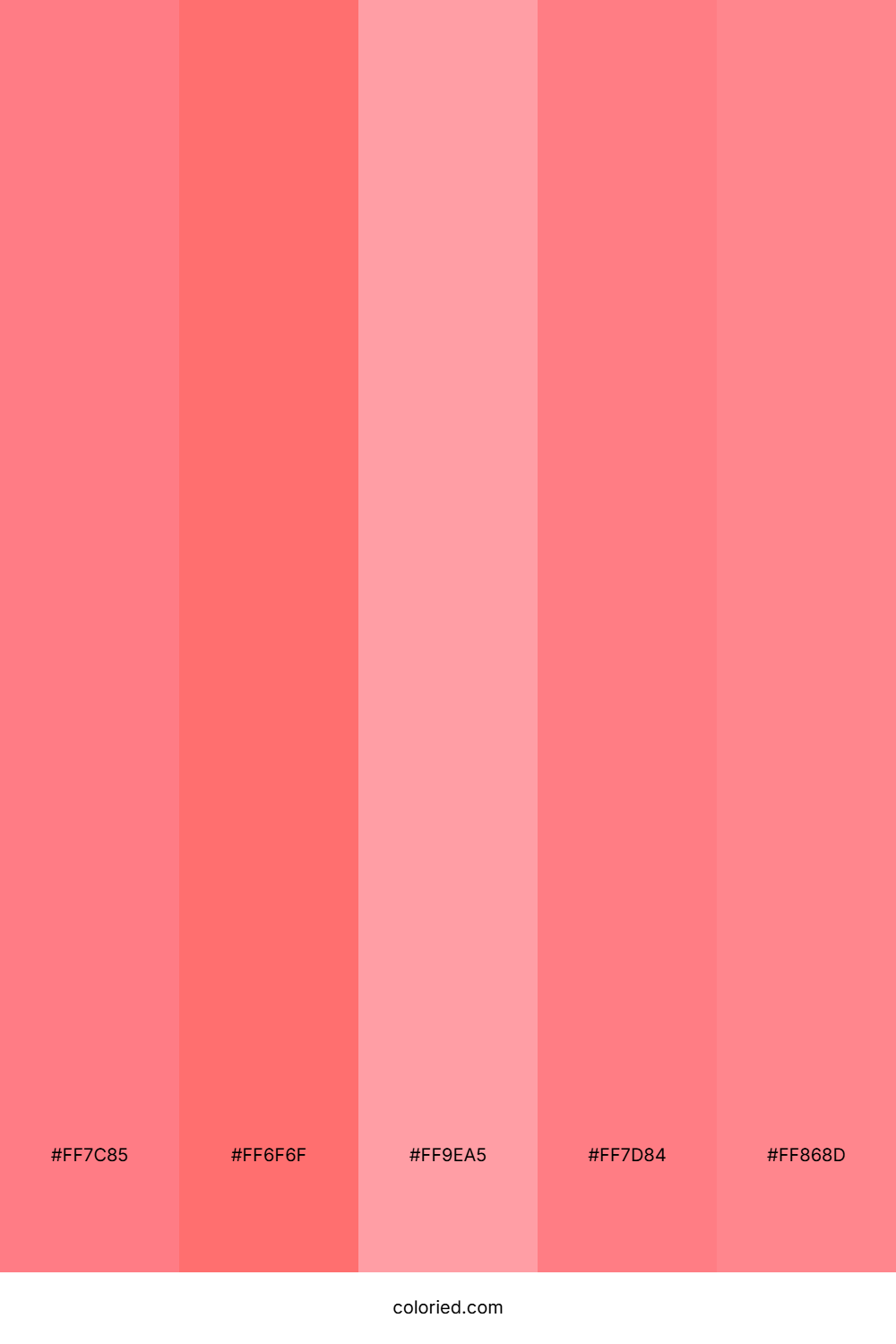 Coral and Pink Color Palette