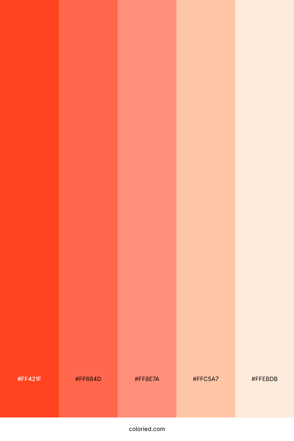 Coral and Salmon Color Palette