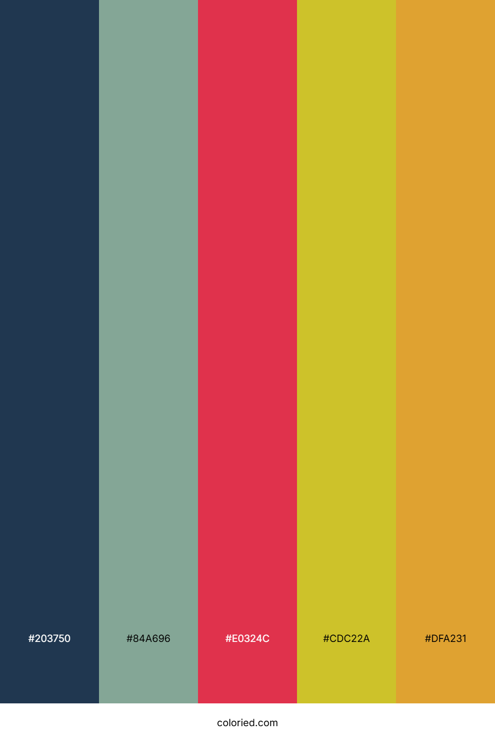 Coral Citrus Forest Color Palette