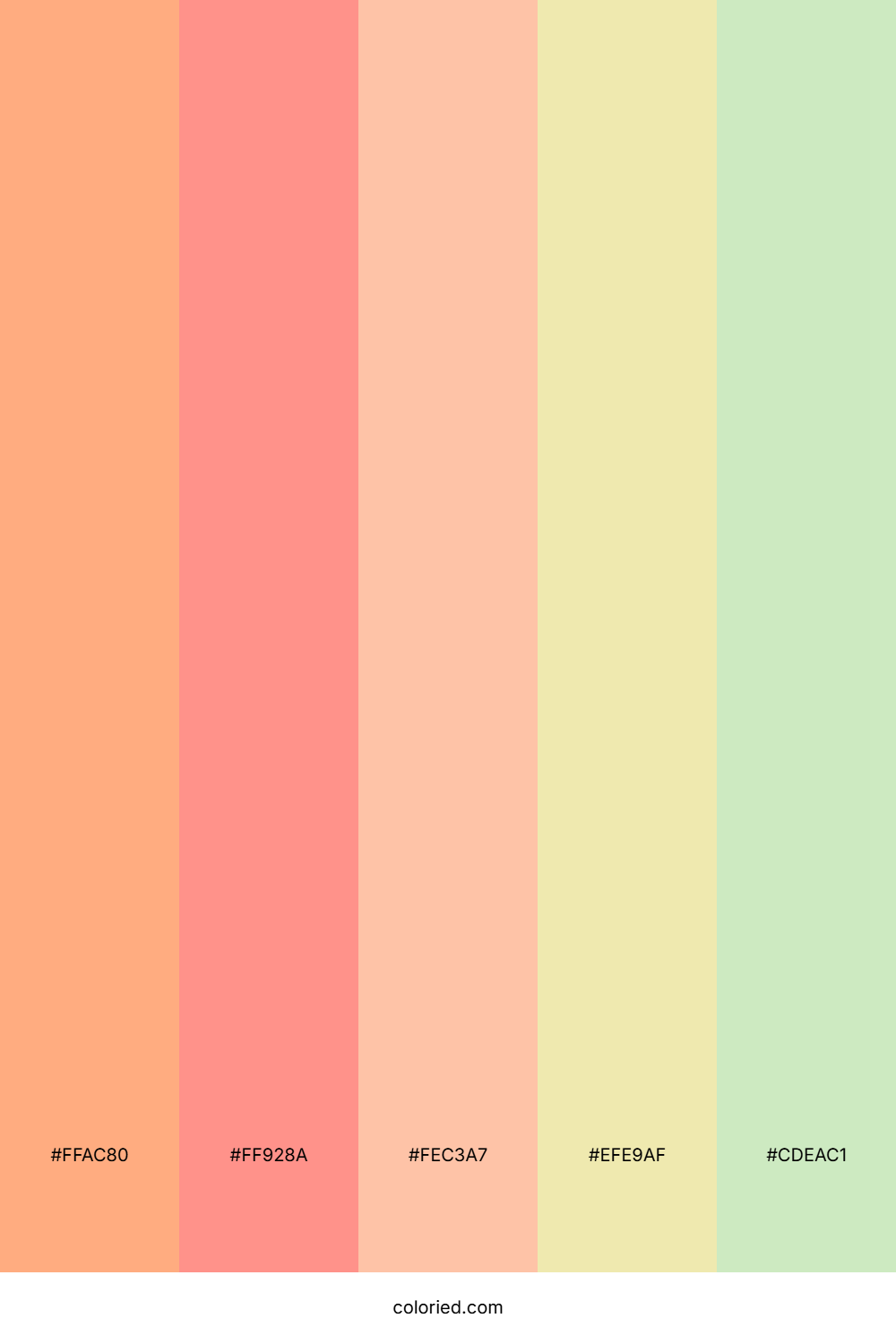 Coral Cream Breeze Palette