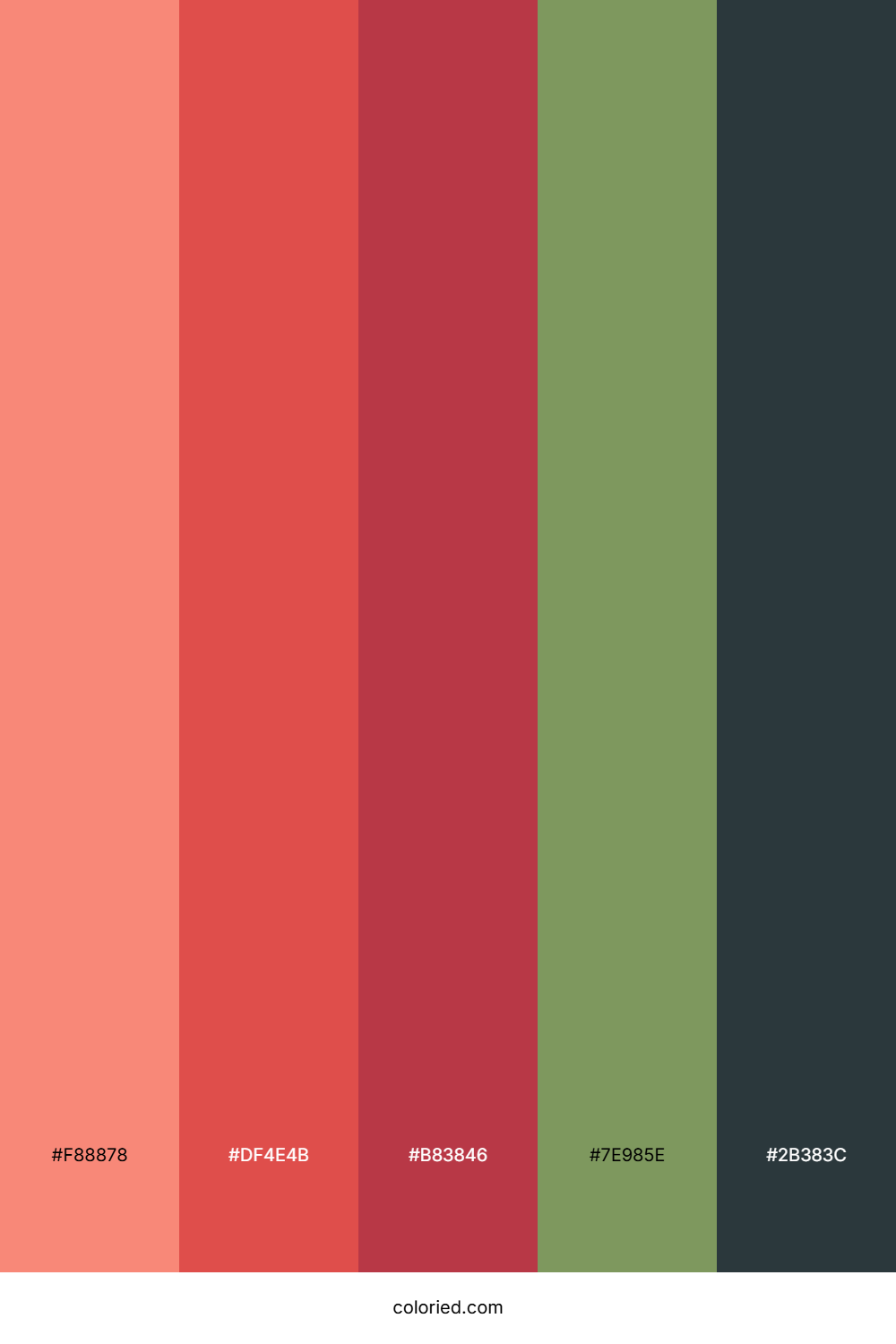 Coral Crimson Forest Palette
