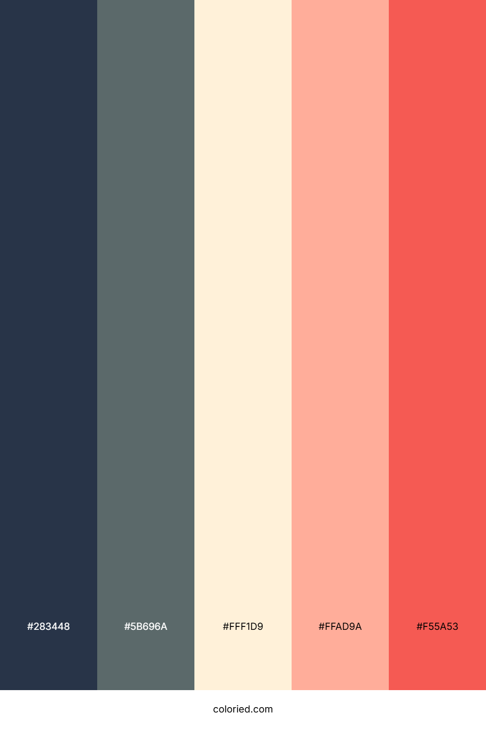 Coral Driftwood Whisper Color Palette