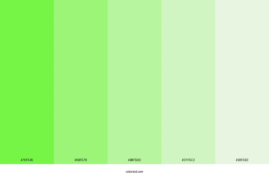 Coral Green Color Palette