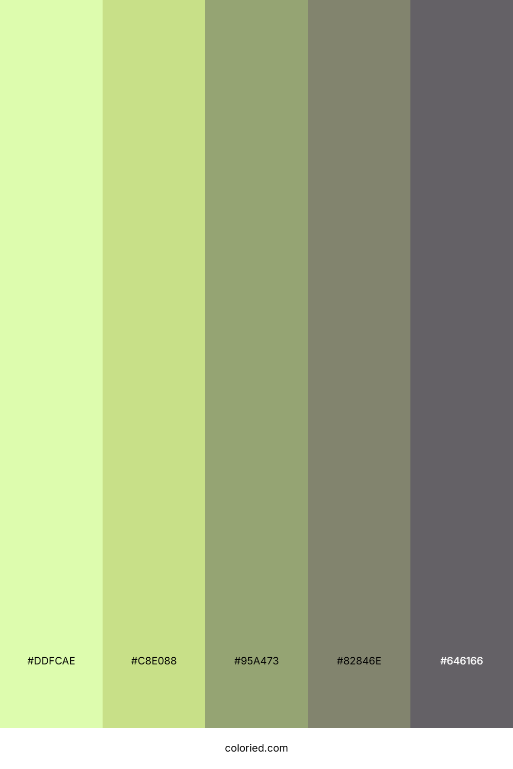 Coral Lagoon Breeze Color Palette