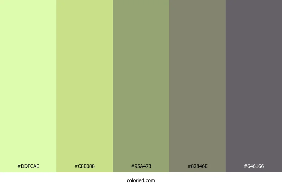 Coral Lagoon Breeze Color Palette