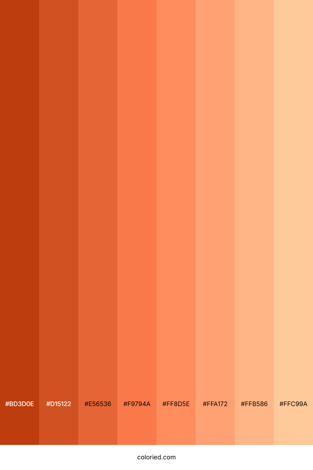 Coral Orange Shades