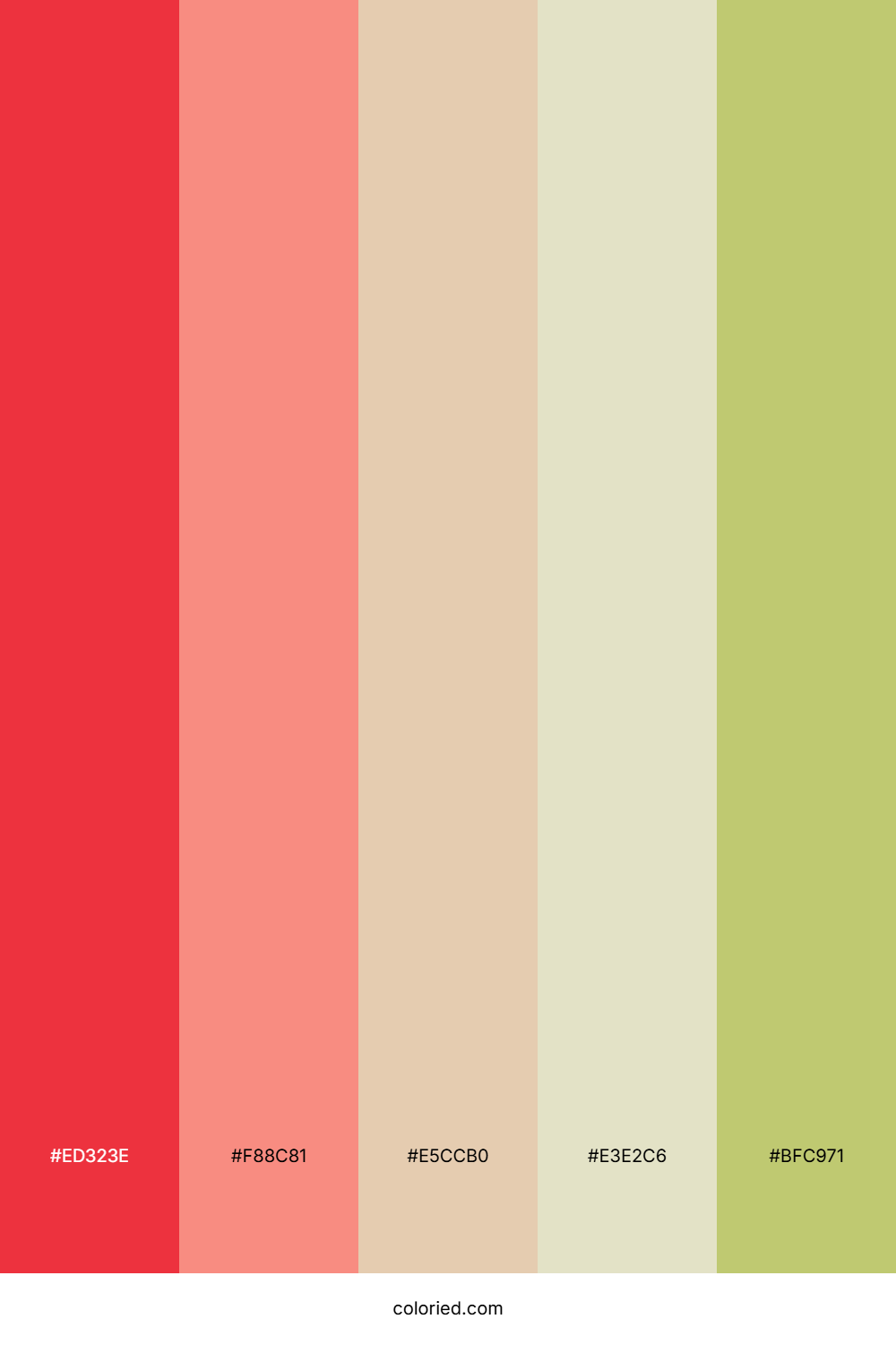 Coral Peach Meadow Color Palette