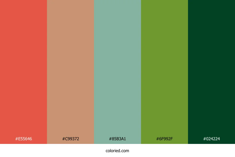 Coral Peach Sage Color Palette