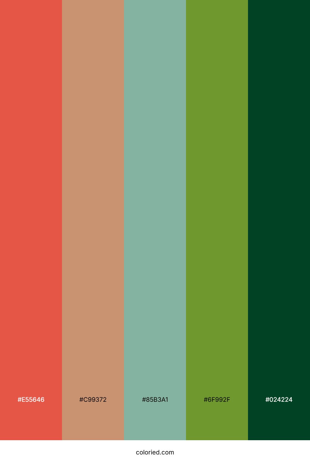 Coral Peach Sage Palette