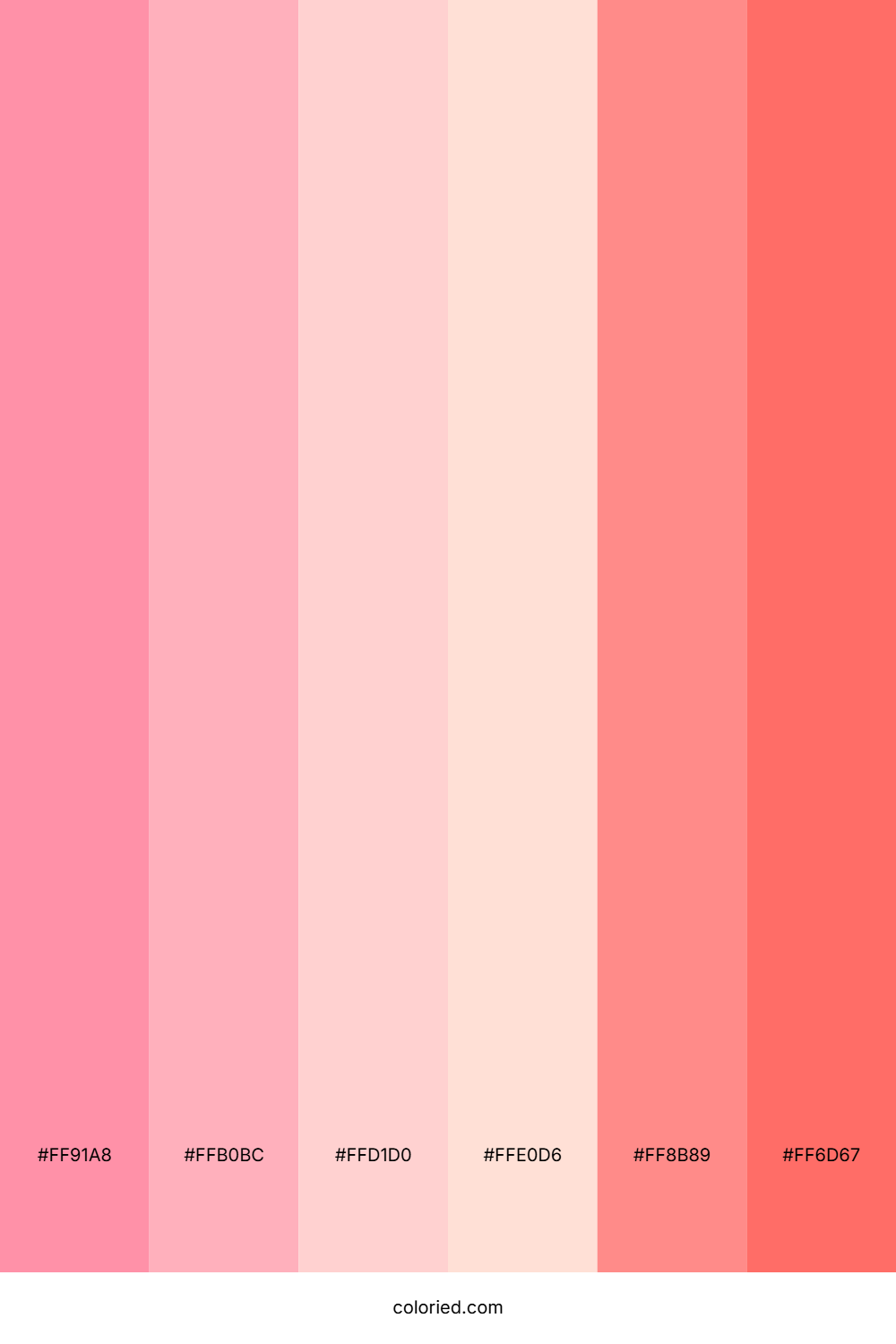Coral Pink and Light Rose Color Palette