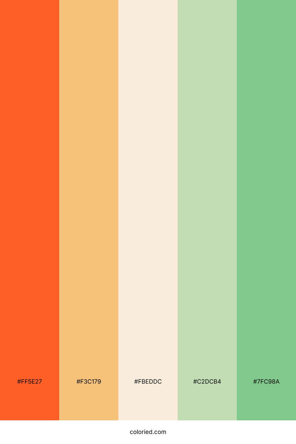 Coral Reef Meadow Color Palette