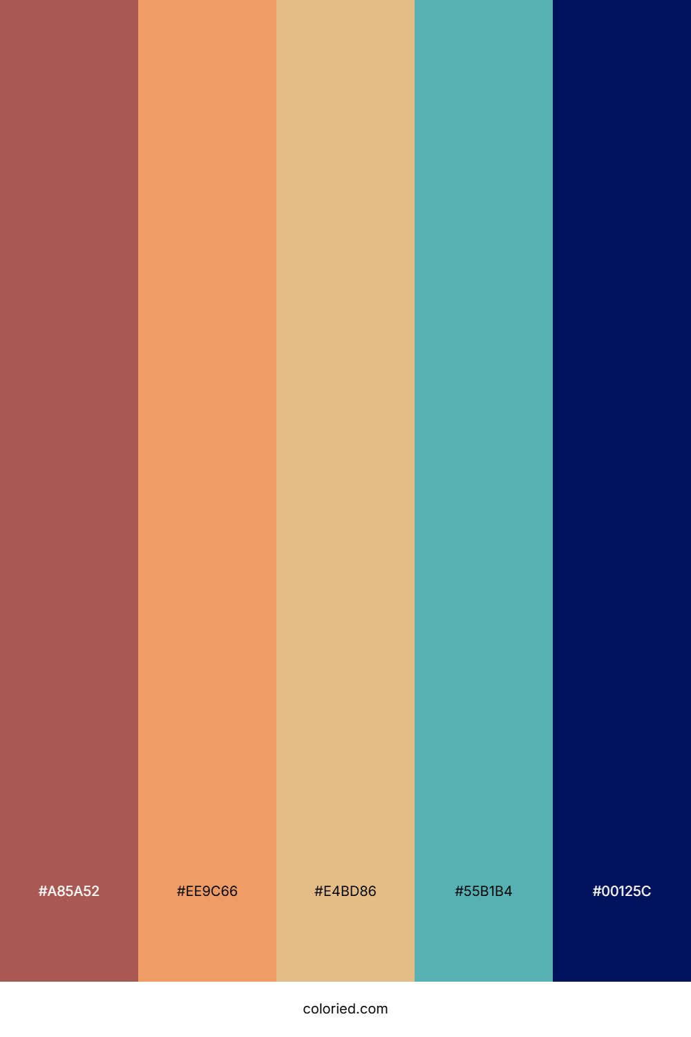 Coral Seashell Drift Palette
