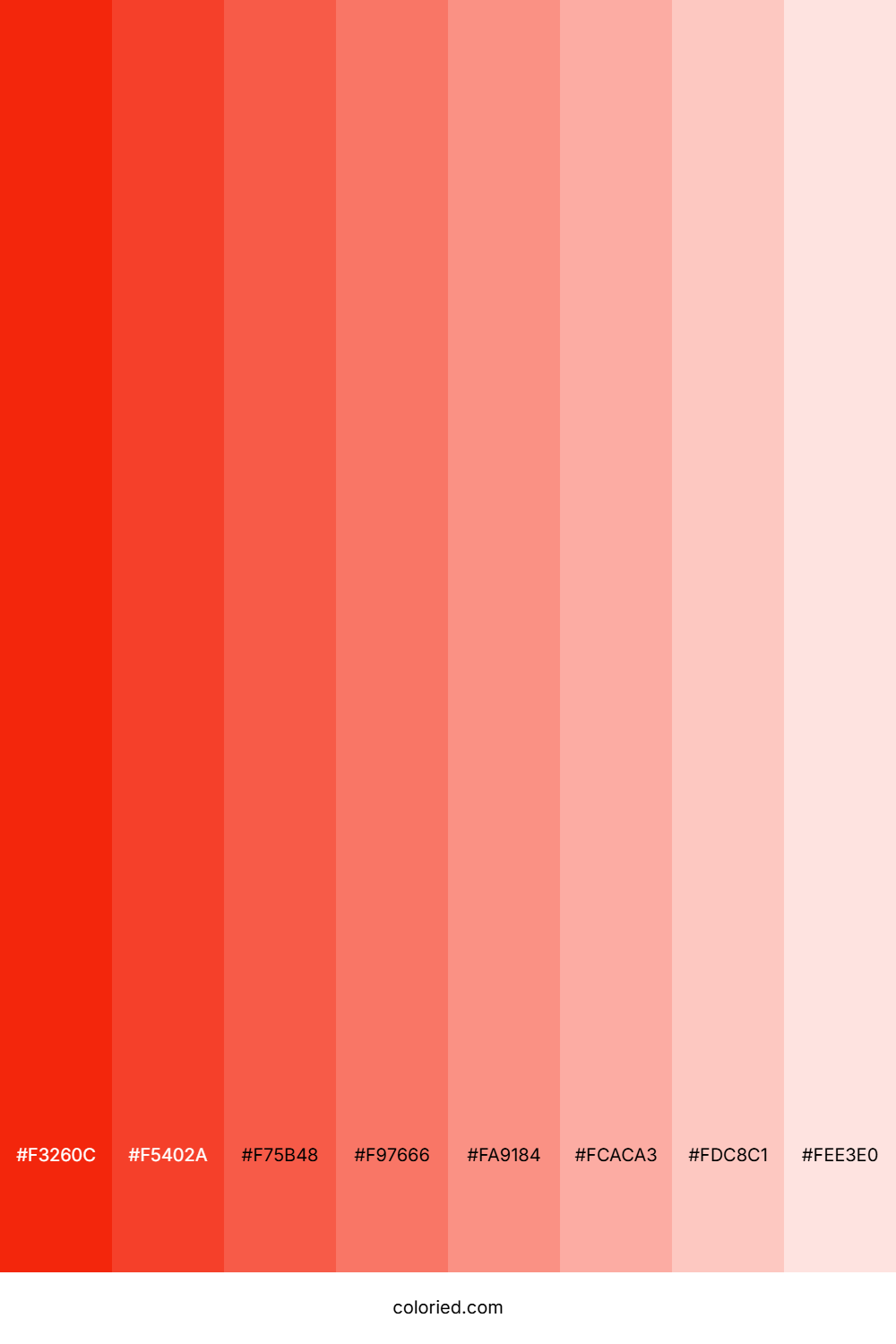 Coral Shades