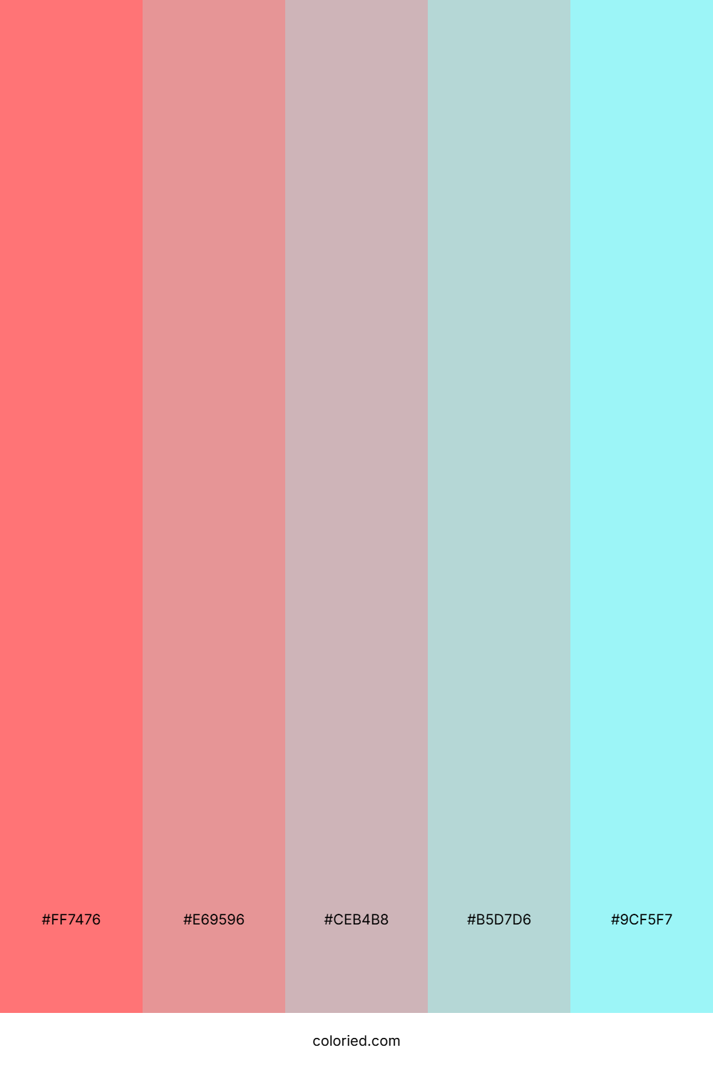 Coral Sunset Glow Color Palette
