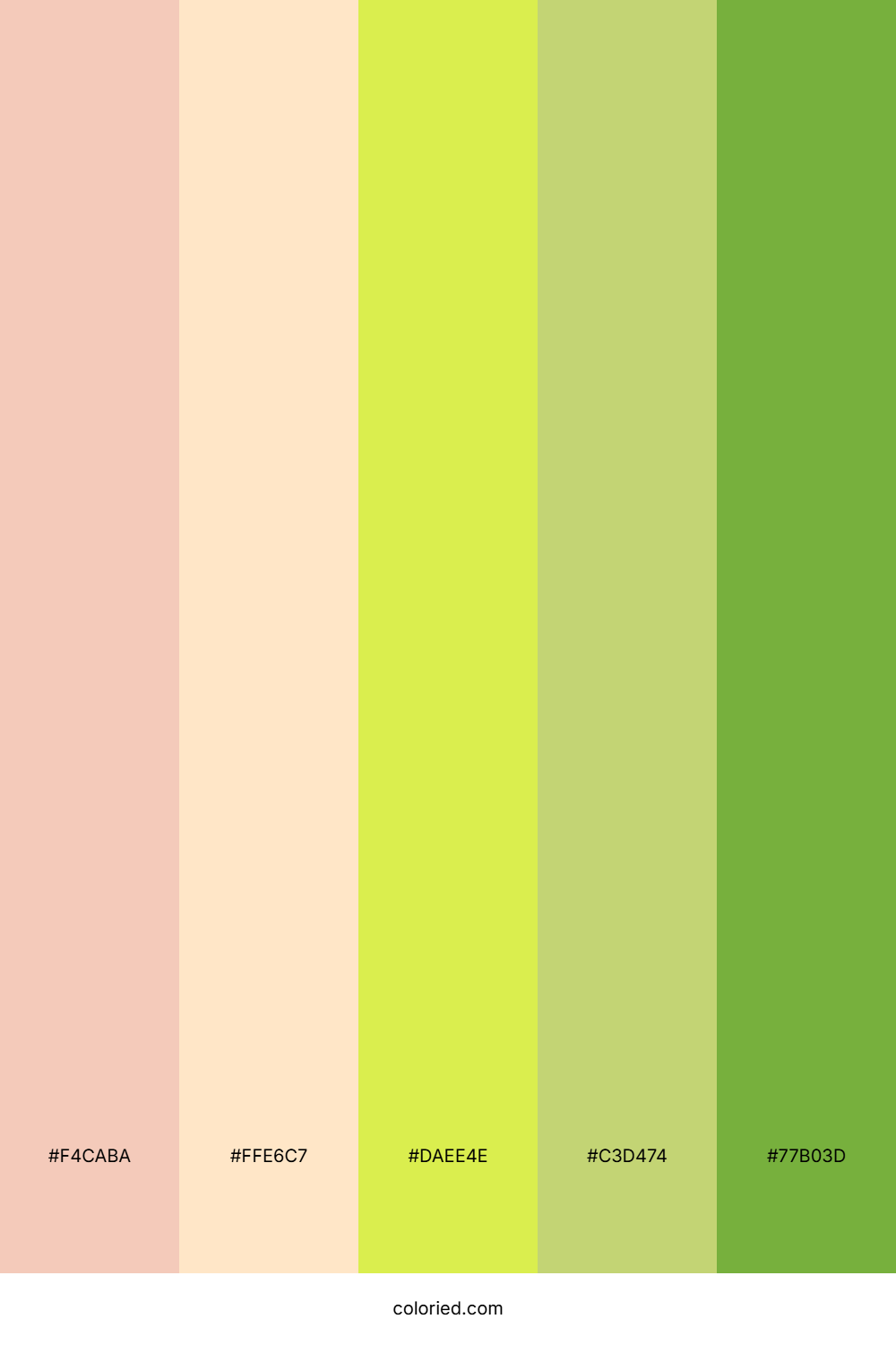 Coral Sunset Grove Color Palette