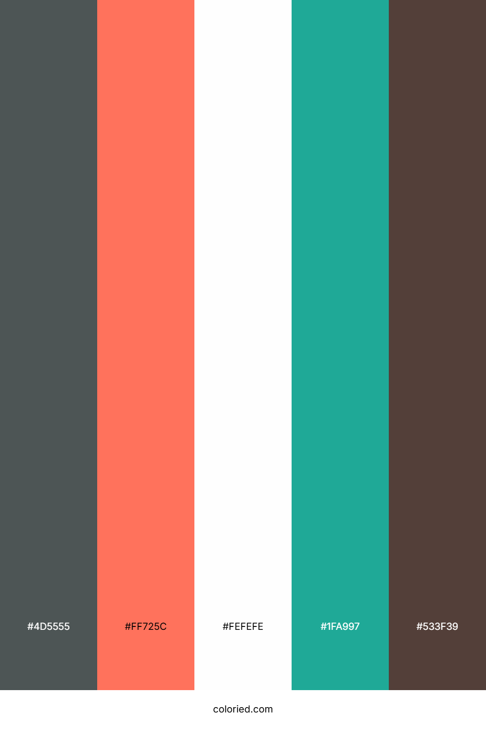 Coral Teal Eclipse Color Palette