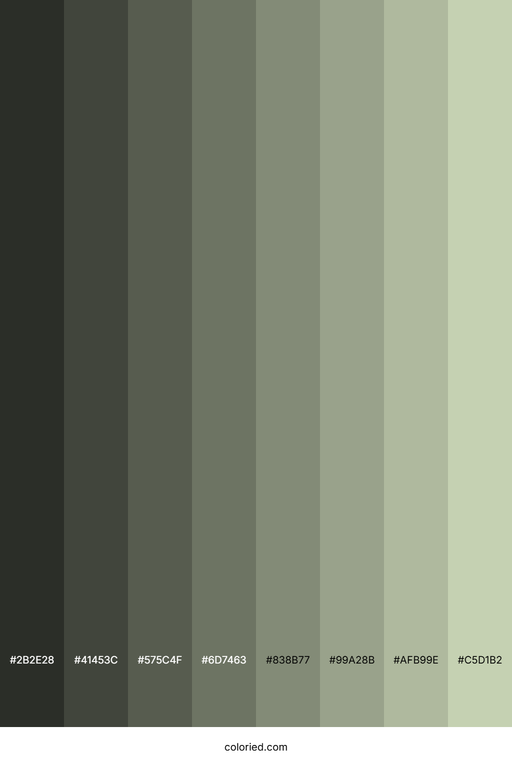 Coriander Color Shades