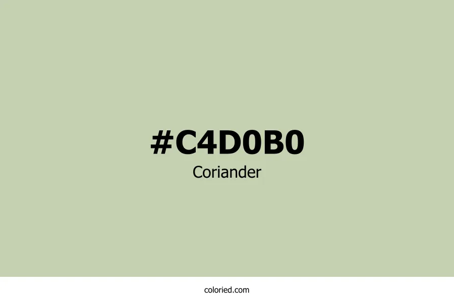 Coriander Color