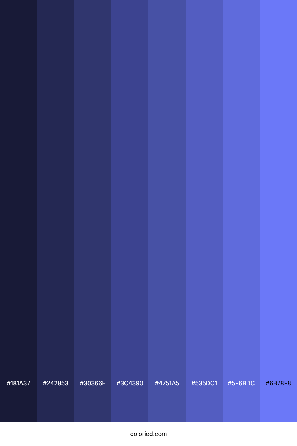 Cornflower Color Shades