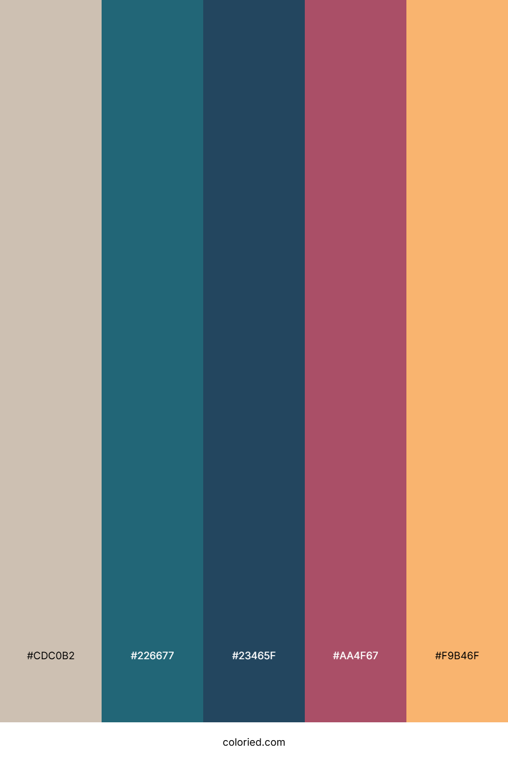 Cosmic Coral Horizon Color Palette