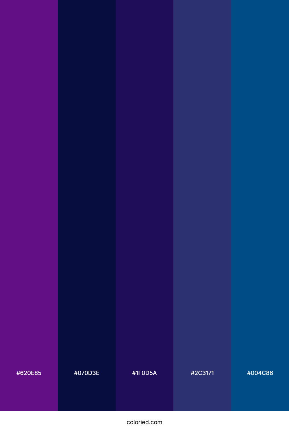 Cosmic Night Bloom Color Palette