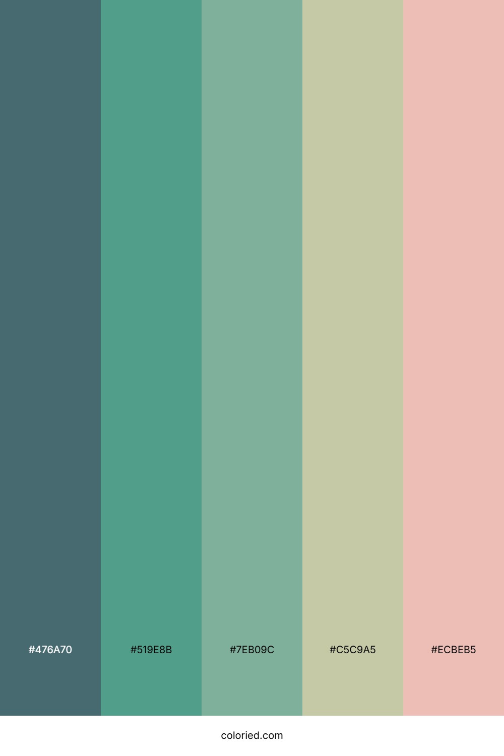 Cotton Candy Lagoon Color Palette