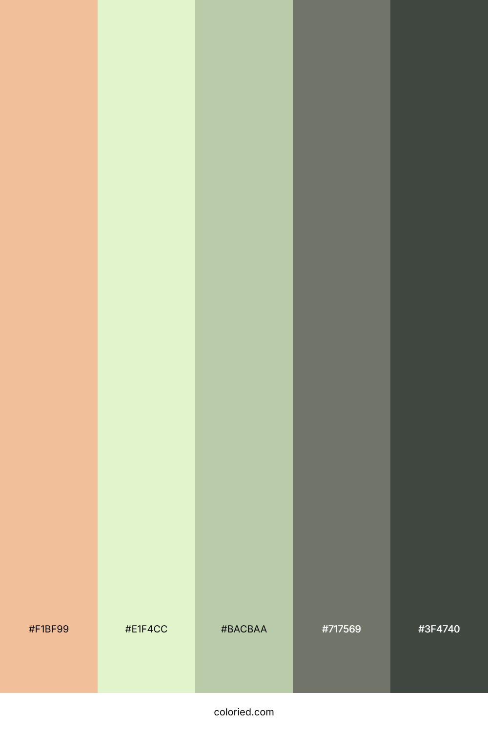 Cotton Candy Meadow Color Palette