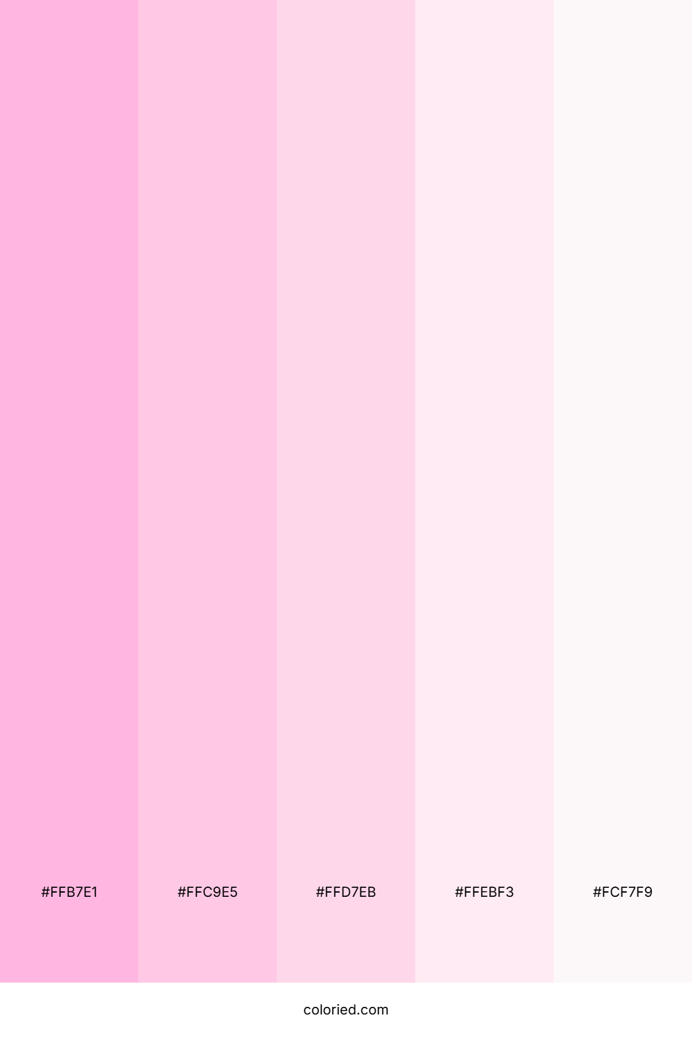 Cotton Candy Pink and Baby Pink Color Palette