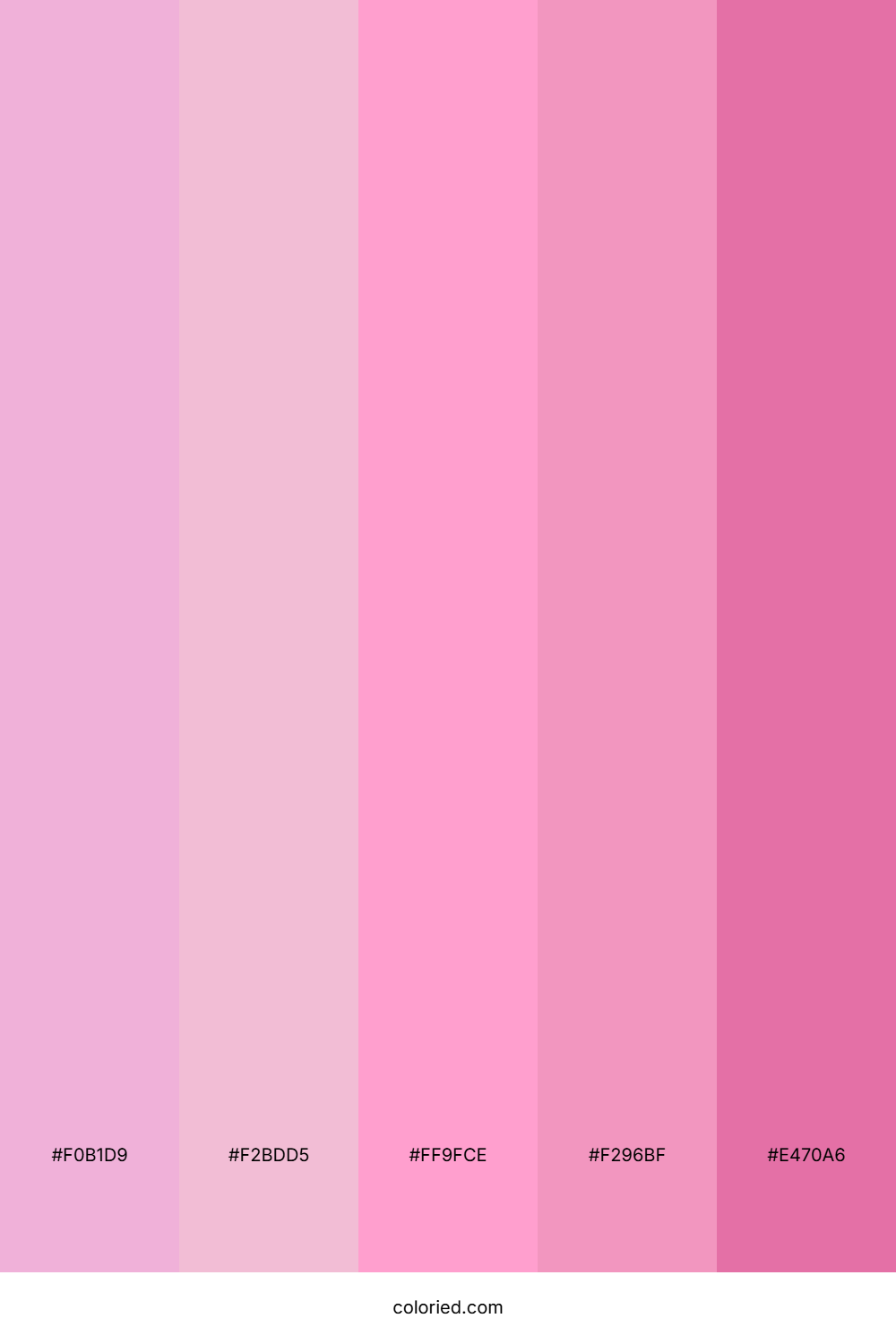 Cotton Candy Pink and Orchid Color Palette
