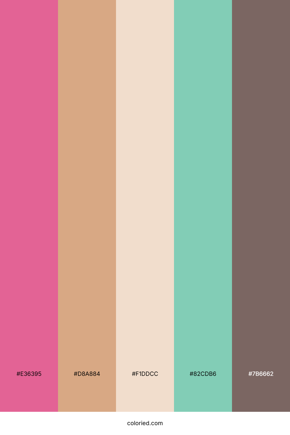 Cotton Candy Seashell Color Palette