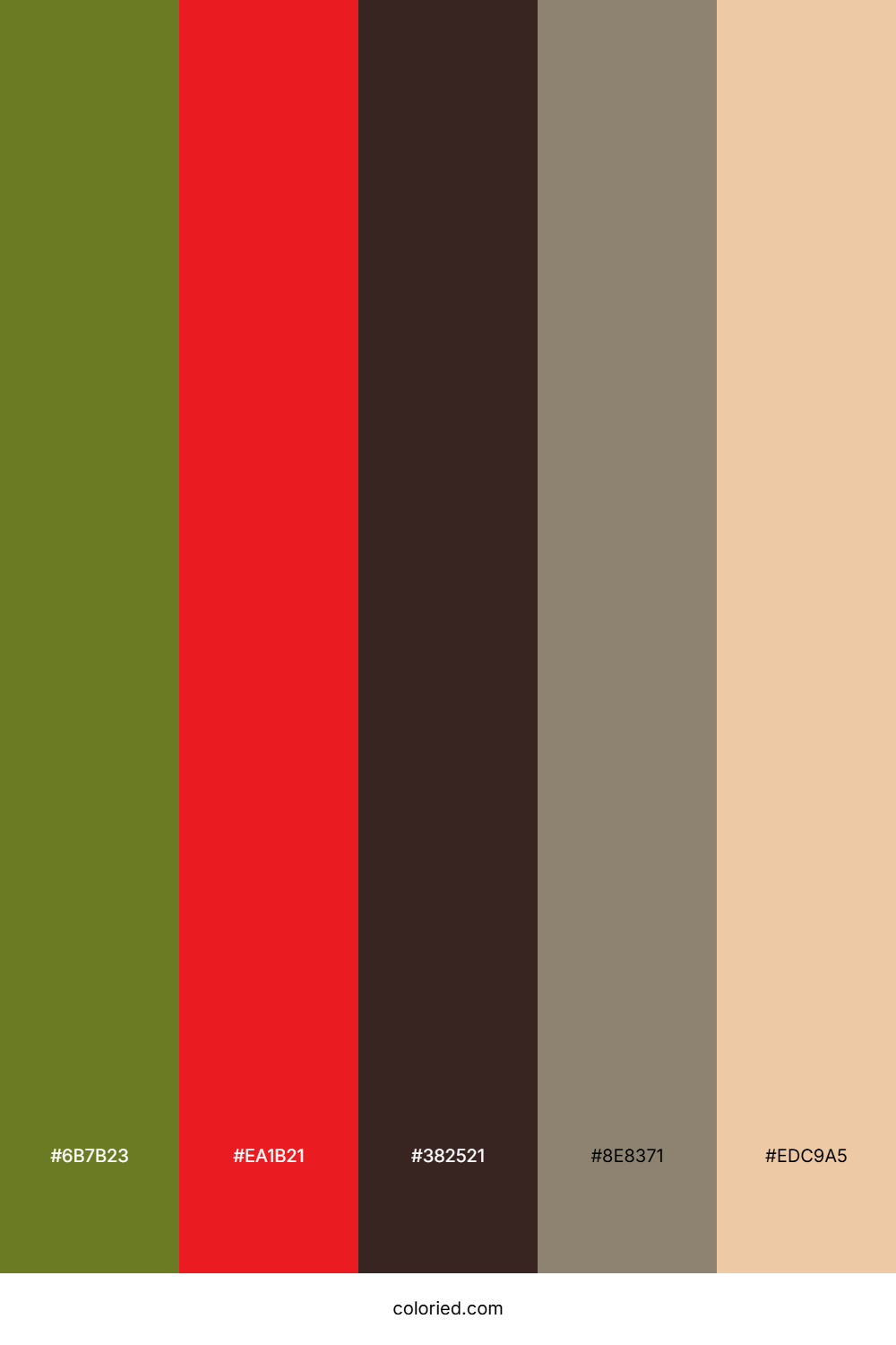 Cranberry Olive Sunset Color Palette