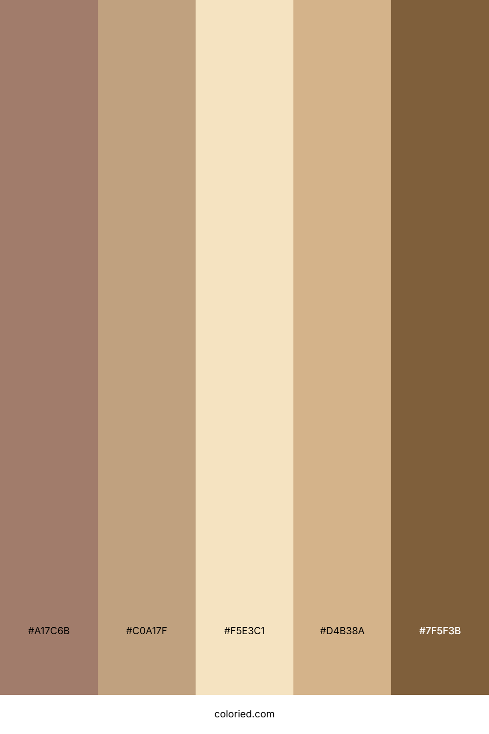 Cream and Brown Color Palette